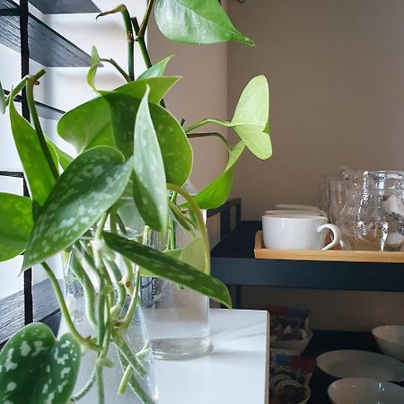 Bed And Breakfast 'Wij En De Zande' Kamperveen Eksteriør bilde