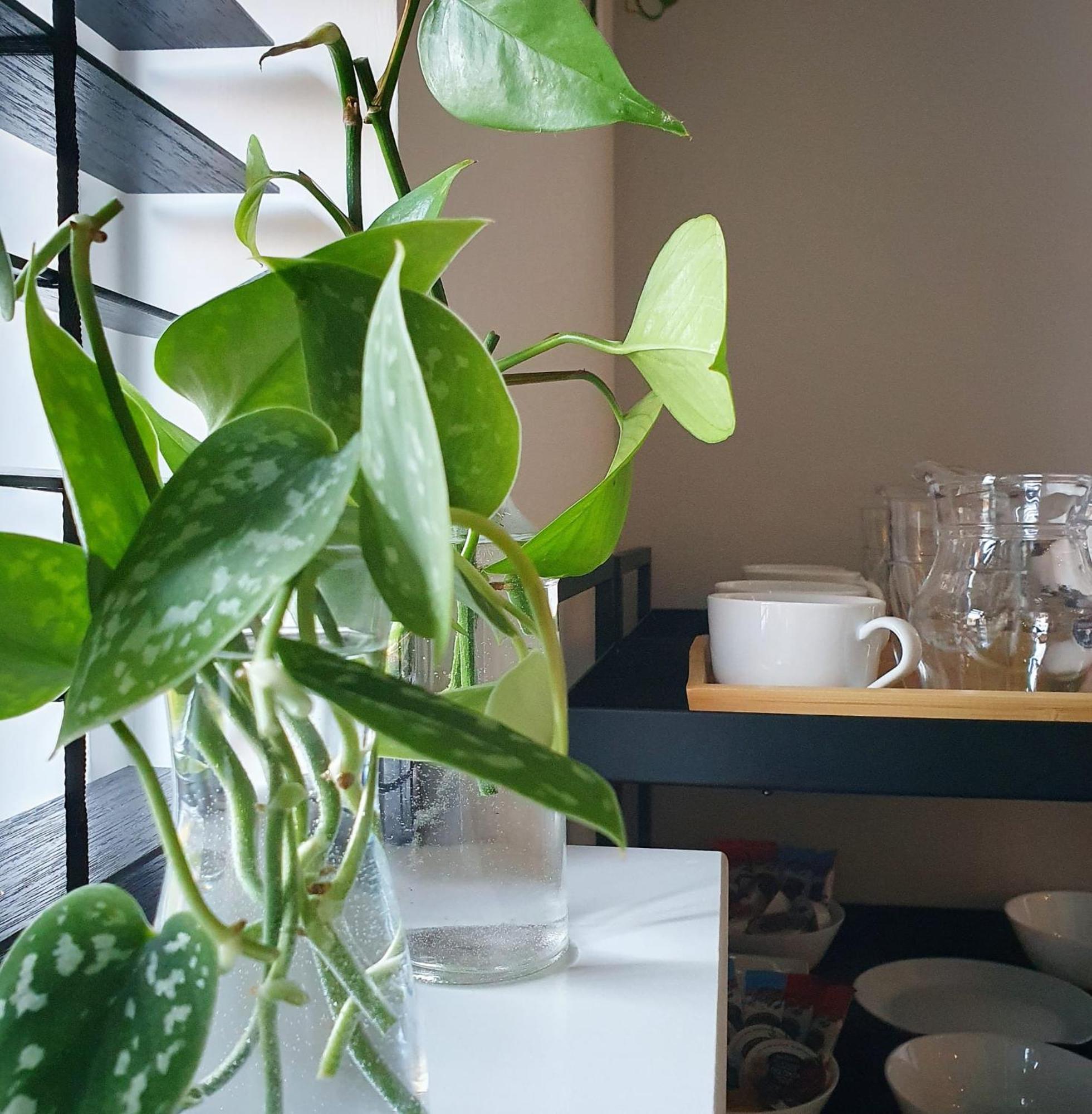 Bed And Breakfast 'Wij En De Zande' Kamperveen Eksteriør bilde